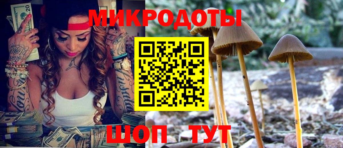 Галлюциногенные грибы Cubensis  Вход с VPN  Аксай  Галлюциногенные грибы мицелий 